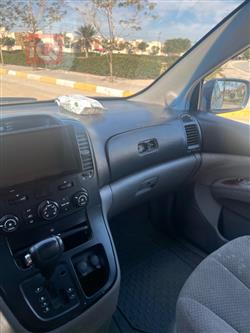 Hyundai Entourage